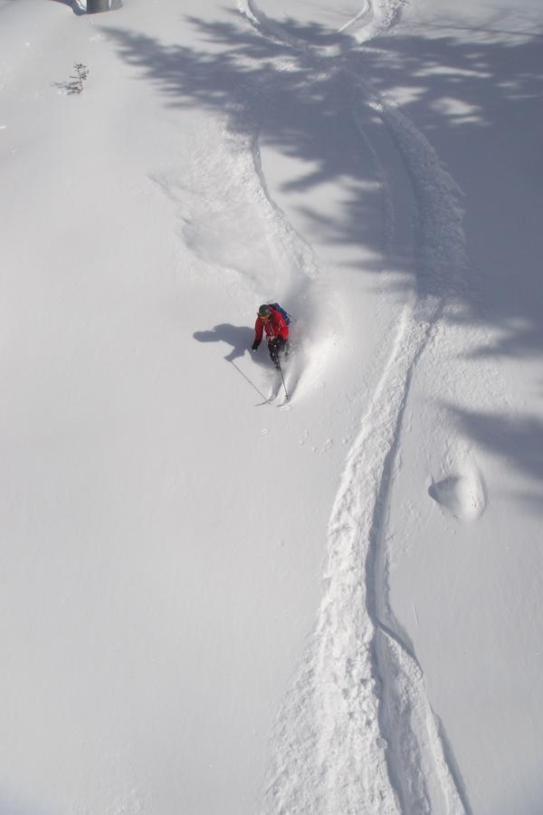 Ski Breezy Chalet Chamonix Bagian luar foto
